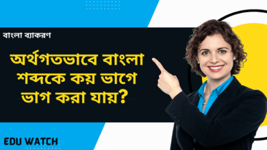 Photo of অর্থগতভাবে বাংলা শব্দকে কয় ভাগে ভাগ করা যায়?