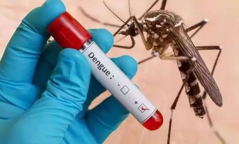 ডেঙ্গুতে আক্রান্ত হয়ে হাসপাতালে ভর্তি